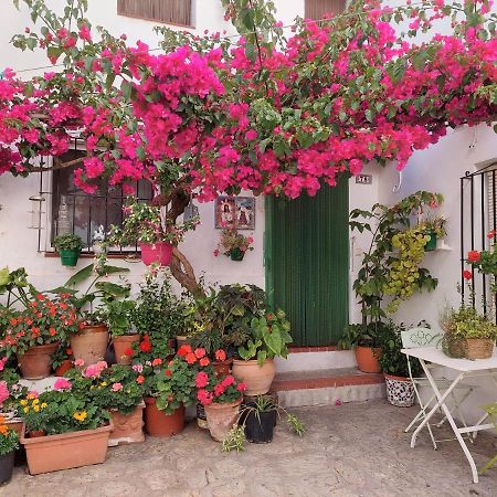 La Buganvilla De Juana Y Antonio Casares Luaran gambar