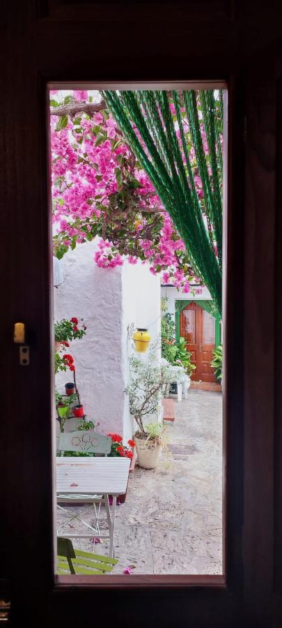 La Buganvilla De Juana Y Antonio Casares Luaran gambar
