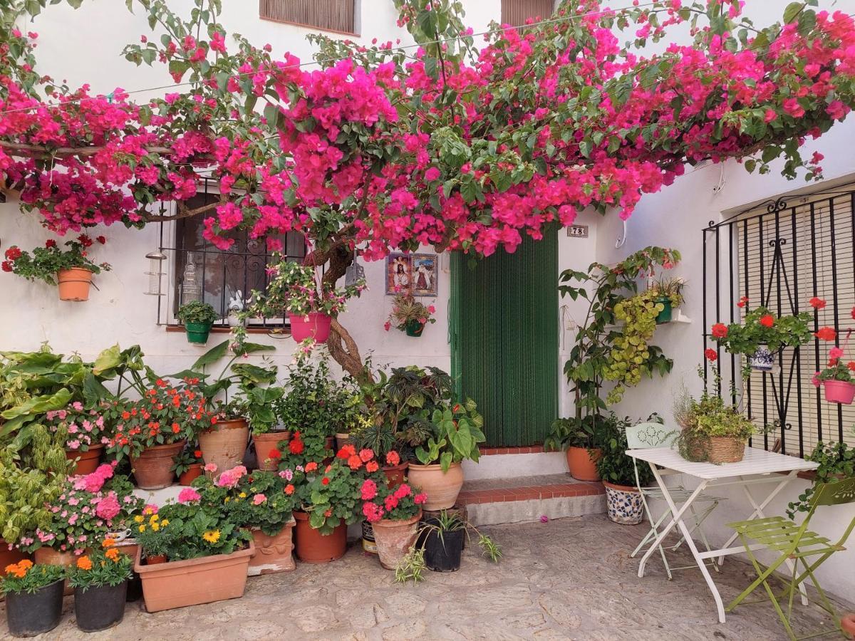 La Buganvilla De Juana Y Antonio Casares Luaran gambar